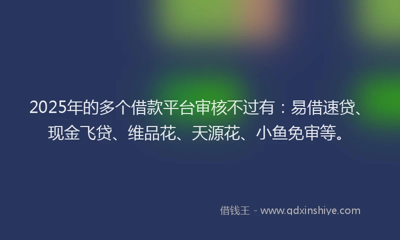2025年的多个借款平台审核不过有：易借速贷、现金飞贷、维品花、天源花、小鱼免审等。