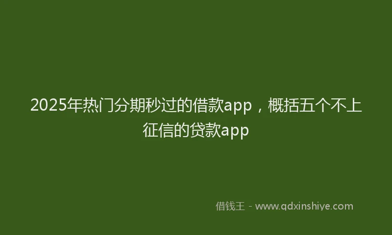 2025年热门分期秒过的借款app，概括五个不上征信的贷款app