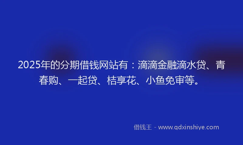 2025年的分期借钱网站有：滴滴金融滴水贷、青春购、一起贷、桔享花、小鱼免审等。