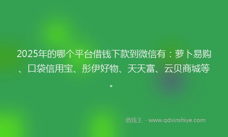 2025年的哪个平台借钱下款到微信有：萝卜易购、口袋信用宝、彤伊好物、天天富、云贝商城等。
