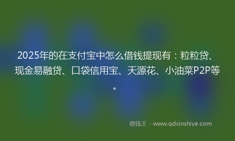 2025年的在支付宝中怎么借钱提现有：粒粒贷、现金易融贷、口袋信用宝、天源花、小油菜P2P等。