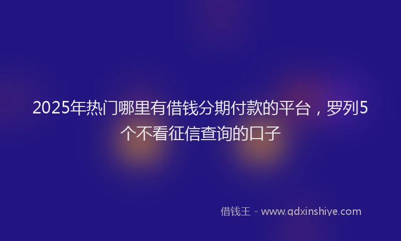 2025年热门哪里有借钱分期付款的平台，罗列5个不看征信查询的口子
