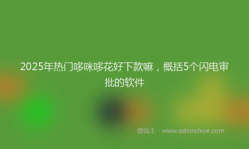 2025年热门哆咪哆花好下款嘛，概括5个闪电审批的软件