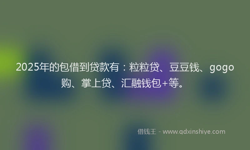 2025年的包借到贷款有：粒粒贷、豆豆钱、gogo购、掌上贷、汇融钱包+等。