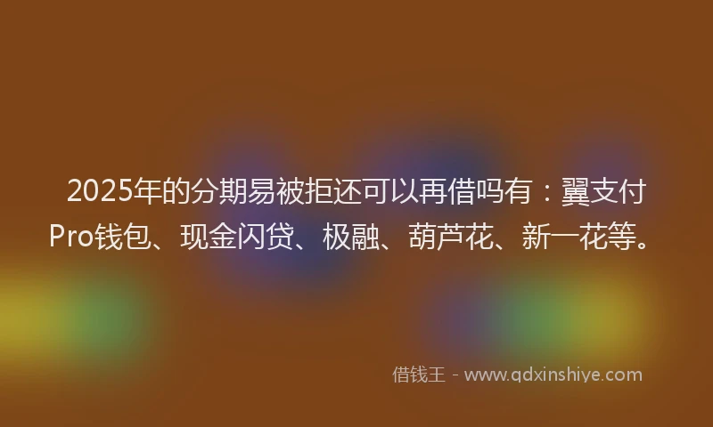 2025年的分期易被拒还可以再借吗有：翼支付Pro钱包、现金闪贷、极融、葫芦花、新一花等。