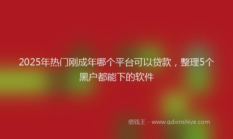 2025年热门刚成年哪个平台可以贷款，整理5个黑户都能下的软件