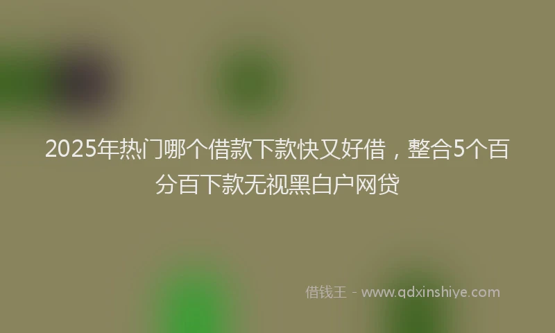 2025年热门哪个借款下款快又好借，整合5个百分百下款无视黑白户网贷
