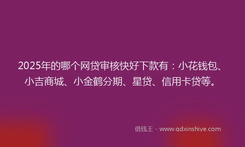 2025年的哪个网贷审核快好下款有：小花钱包、小吉商城、小金鹤分期、星贷、信用卡贷等。