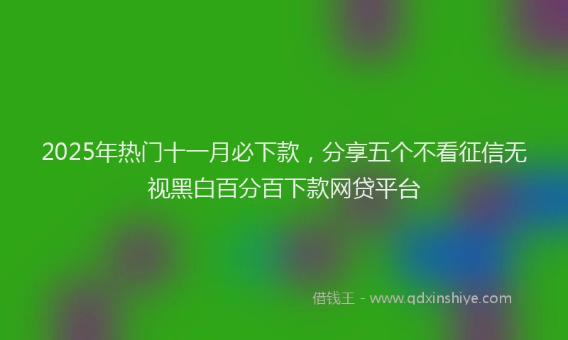 2025年热门十一月必下款，分享五个不看征信无视黑白百分百下款网贷平台