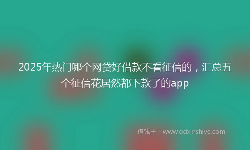 2025年热门哪个网贷好借款不看征信的，汇总五个征信花居然都下款了的app