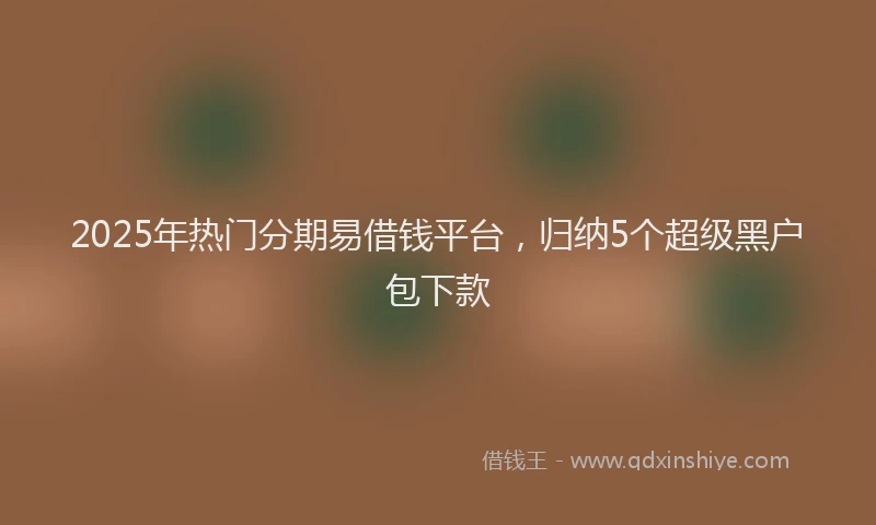 2025年热门分期易借钱平台，归纳5个超级黑户包下款
