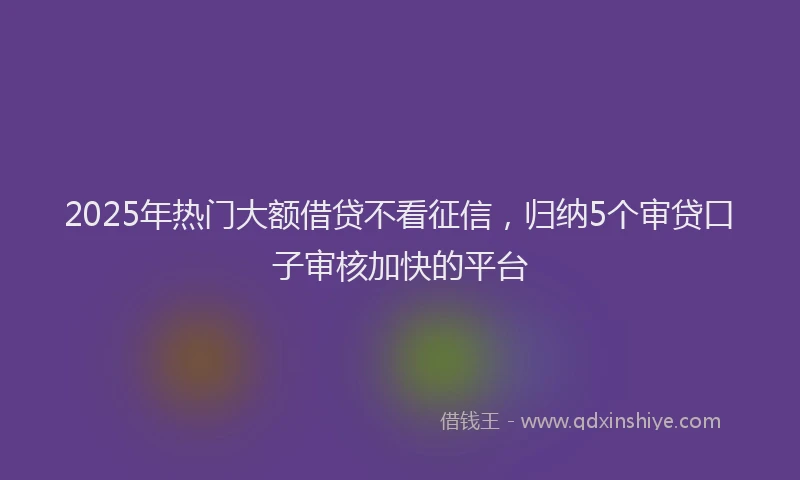 2025年热门大额借贷不看征信，归纳5个审贷口子审核加快的平台