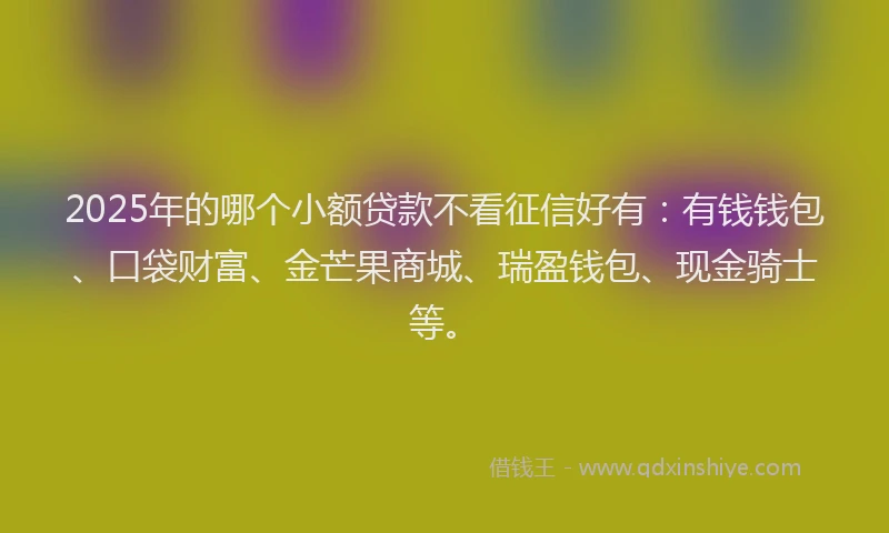 2025年的哪个小额贷款不看征信好有：有钱钱包、口袋财富、金芒果商城、瑞盈钱包、现金骑士等。