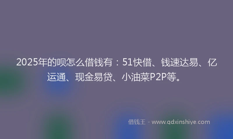 2025年的呗怎么借钱有：51快借、钱速达易、亿运通、现金易贷、小油菜P2P等。