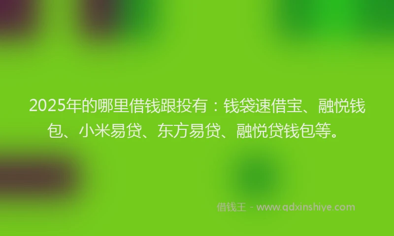 2025年的哪里借钱跟投有：钱袋速借宝、融悦钱包、小米易贷、东方易贷、融悦贷钱包等。