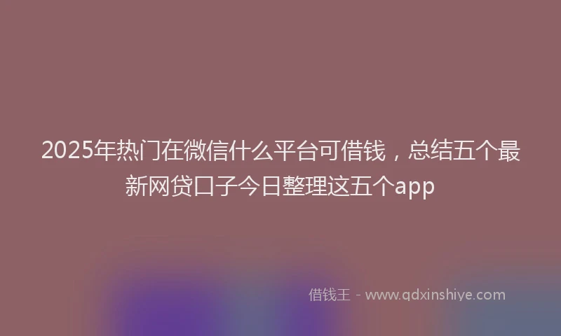 2025年热门在微信什么平台可借钱，总结五个最新网贷口子今日整理这五个app