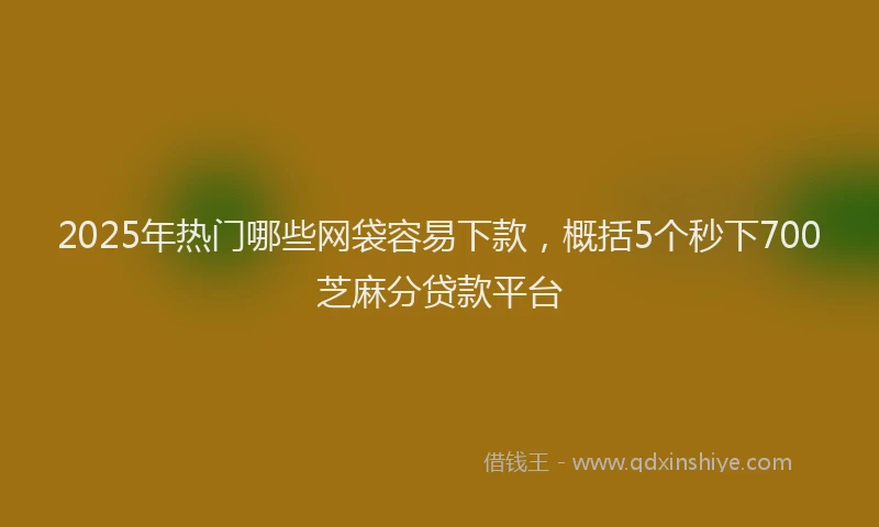2025年热门哪些网袋容易下款，概括5个秒下700芝麻分贷款平台