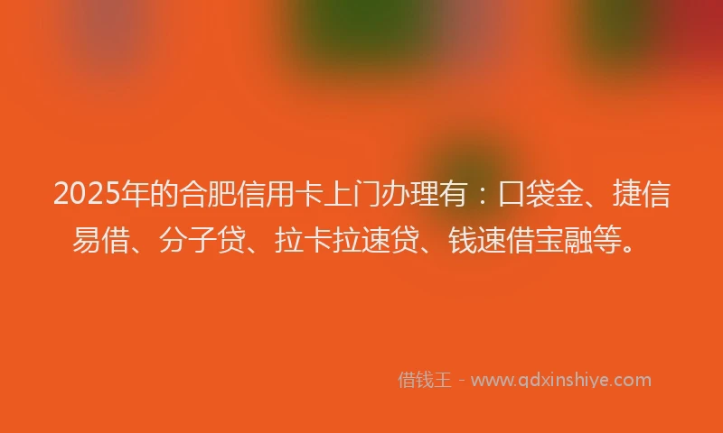 2025年的合肥信用卡上门办理有：口袋金、捷信易借、分子贷、拉卡拉速贷、钱速借宝融等。