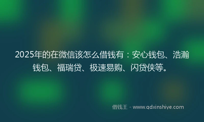 2025年的在微信该怎么借钱有：安心钱包、浩瀚钱包、福瑞贷、极速易购、闪贷侠等。