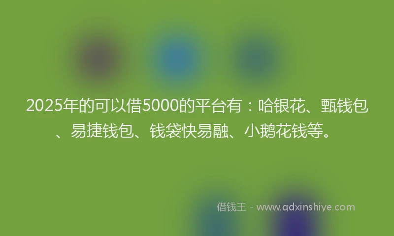 2025年的可以借5000的平台有：哈银花、甄钱包、易捷钱包、钱袋快易融、小鹅花钱等。