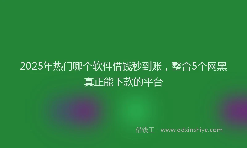2025年热门哪个软件借钱秒到账，整合5个网黑真正能下款的平台