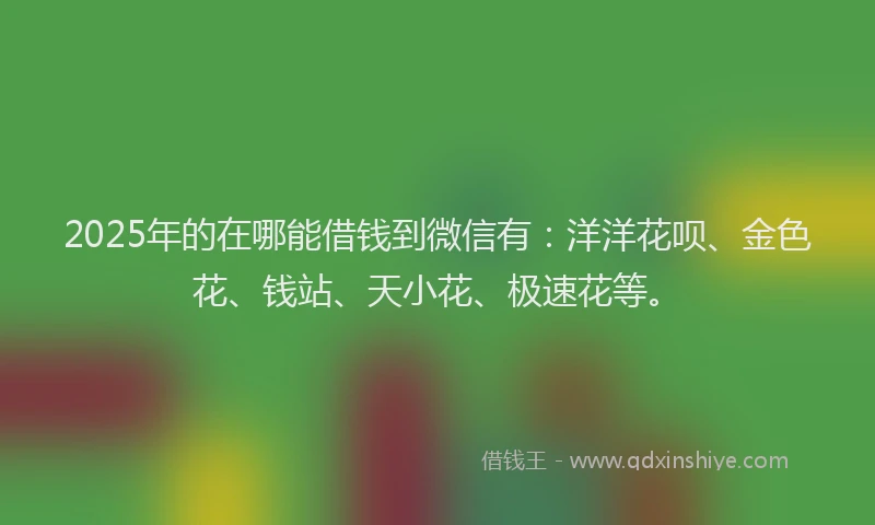 2025年的在哪能借钱到微信有：洋洋花呗、金色花、钱站、天小花、极速花等。