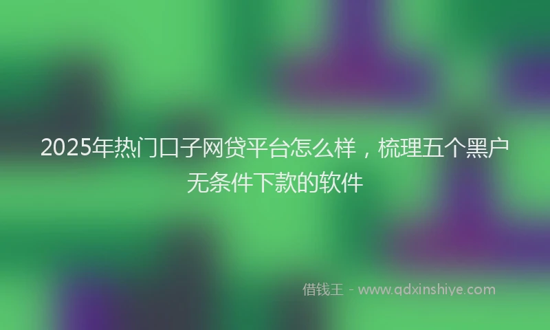 2025年热门口子网贷平台怎么样，梳理五个黑户无条件下款的软件