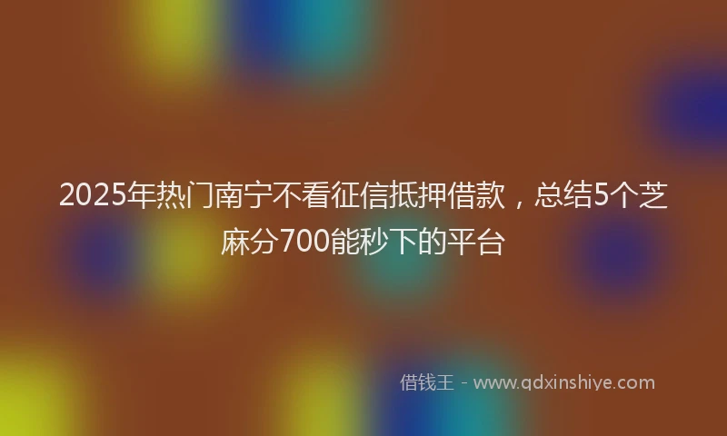 2025年热门南宁不看征信抵押借款，总结5个芝麻分700能秒下的平台