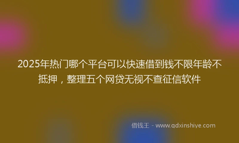 2025年热门哪个平台可以快速借到钱不限年龄不抵押，整理五个网贷无视不查征信软件