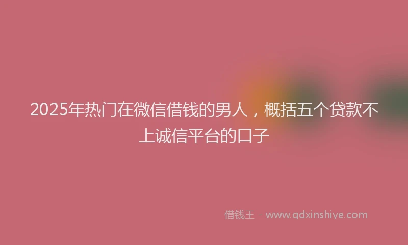 2025年热门在微信借钱的男人，概括五个贷款不上诚信平台的口子