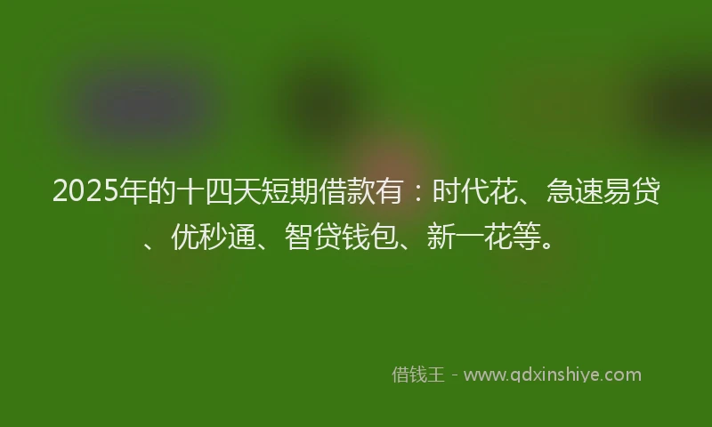 2025年的十四天短期借款有：时代花、急速易贷、优秒通、智贷钱包、新一花等。