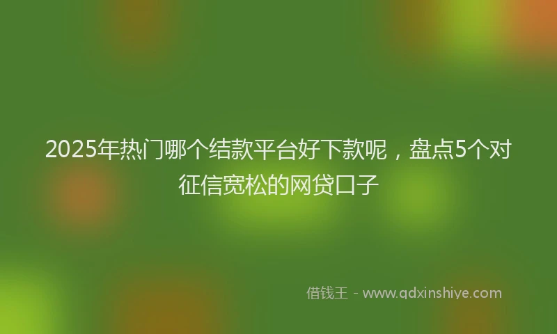 2025年热门哪个结款平台好下款呢，盘点5个对征信宽松的网贷口子