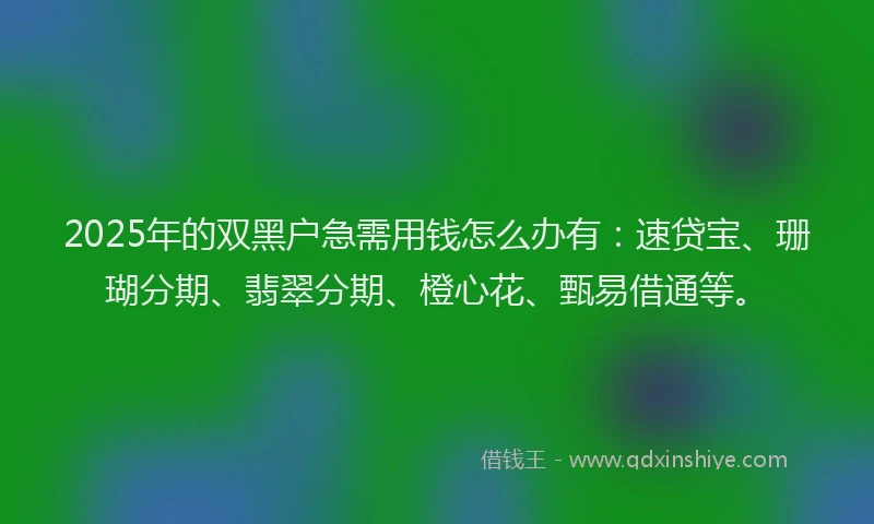2025年的双黑户急需用钱怎么办有：速贷宝、珊瑚分期、翡翠分期、橙心花、甄易借通等。