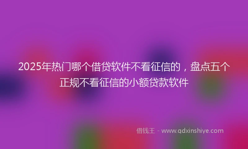2025年热门哪个借贷软件不看征信的，盘点五个正规不看征信的小额贷款软件
