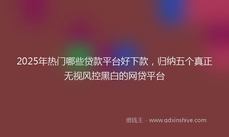 2025年热门哪些贷款平台好下款，归纳五个真正无视风控黑白的网贷平台
