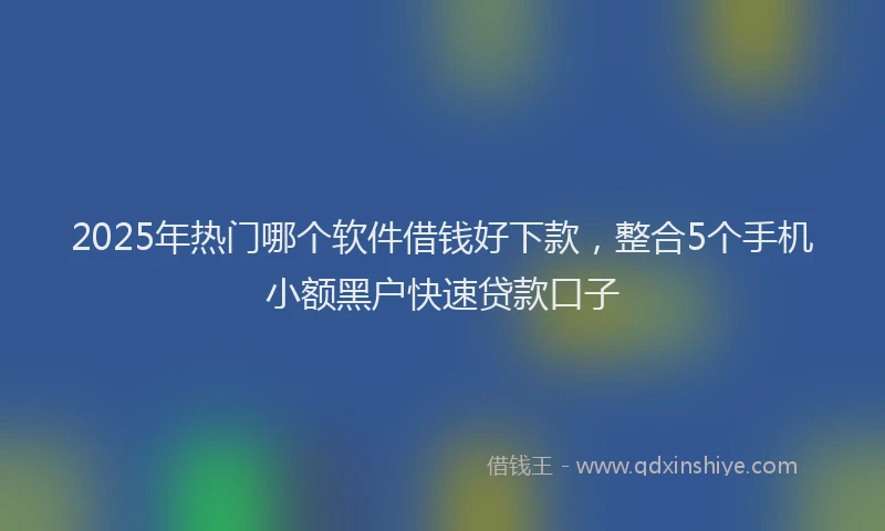 2025年热门哪个软件借钱好下款，整合5个手机小额黑户快速贷款口子