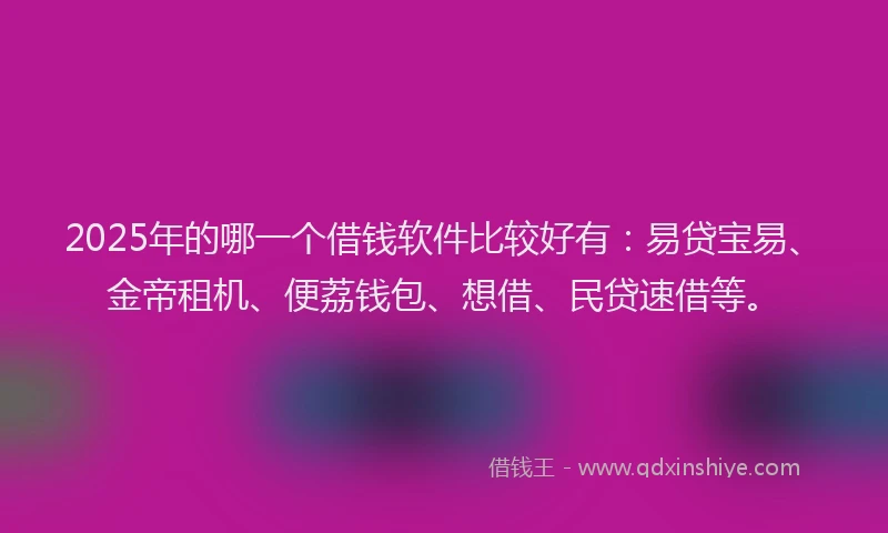 2025年的哪一个借钱软件比较好有：易贷宝易、金帝租机、便荔钱包、想借、民贷速借等。
