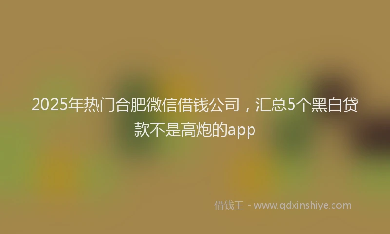 2025年热门合肥微信借钱公司，汇总5个黑白贷款不是高炮的app