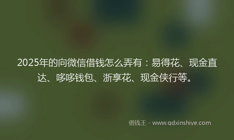 2025年的向微信借钱怎么弄有：易得花、现金直达、哆哆钱包、浙享花、现金侠行等。