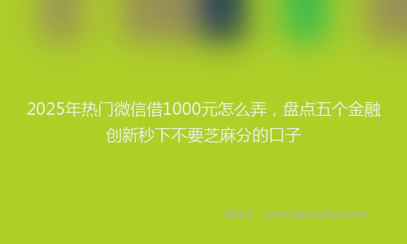 2025年热门微信借1000元怎么弄，盘点五个金融创新秒下不要芝麻分的口子