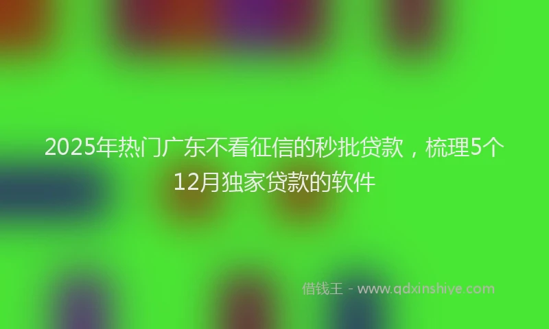 2025年热门广东不看征信的秒批贷款，梳理5个12月独家贷款的软件