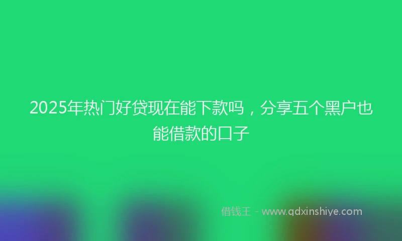 2025年热门好贷现在能下款吗，分享五个黑户也能借款的口子