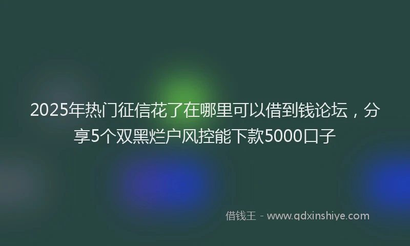 2025年热门征信花了在哪里可以借到钱论坛，分享5个双黑烂户风控能下款5000口子
