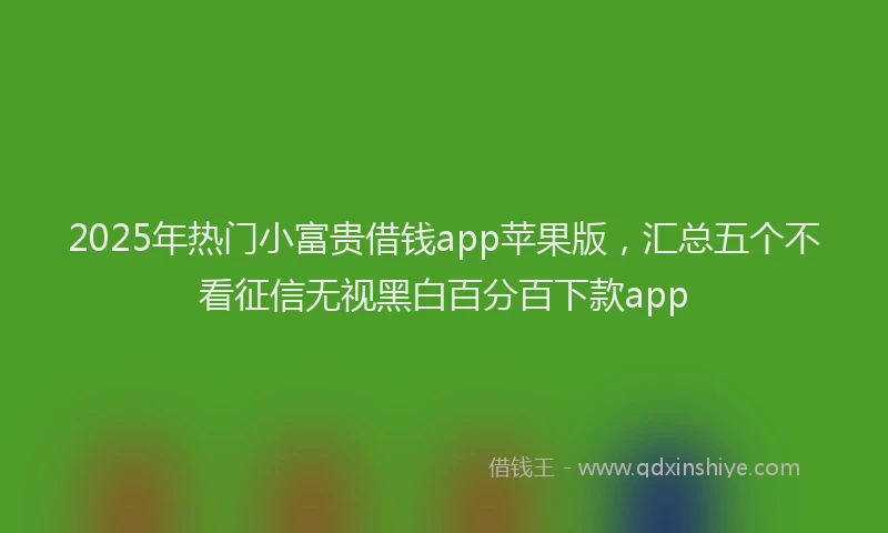 2025年热门小富贵借钱app苹果版，汇总五个不看征信无视黑白百分百下款app
