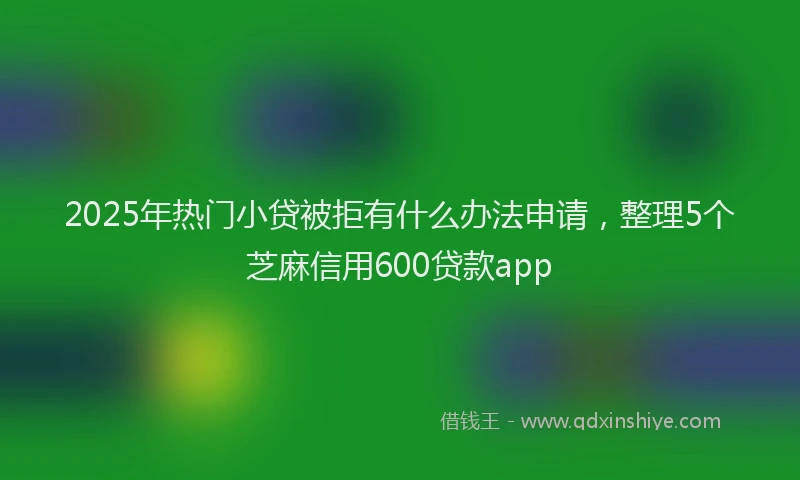 2025年热门小贷被拒有什么办法申请，整理5个芝麻信用600贷款app