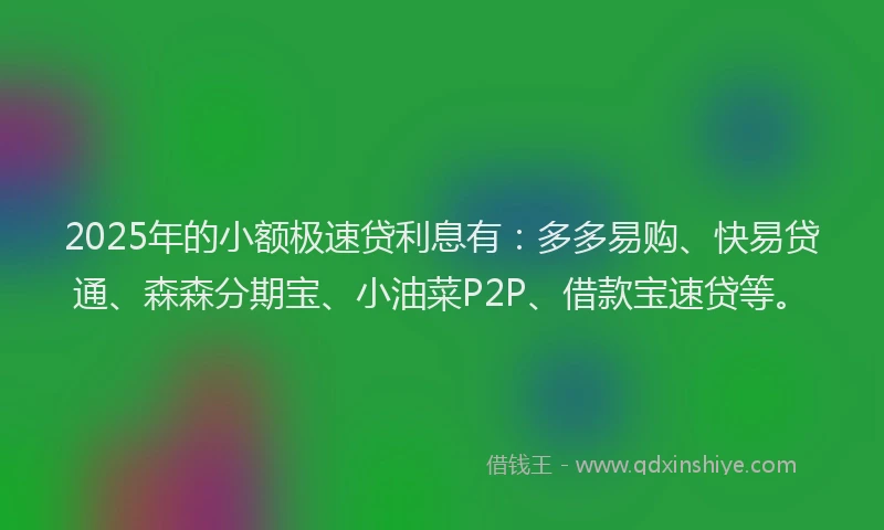 2025年的小额极速贷利息有：多多易购、快易贷通、森森分期宝、小油菜P2P、借款宝速贷等。
