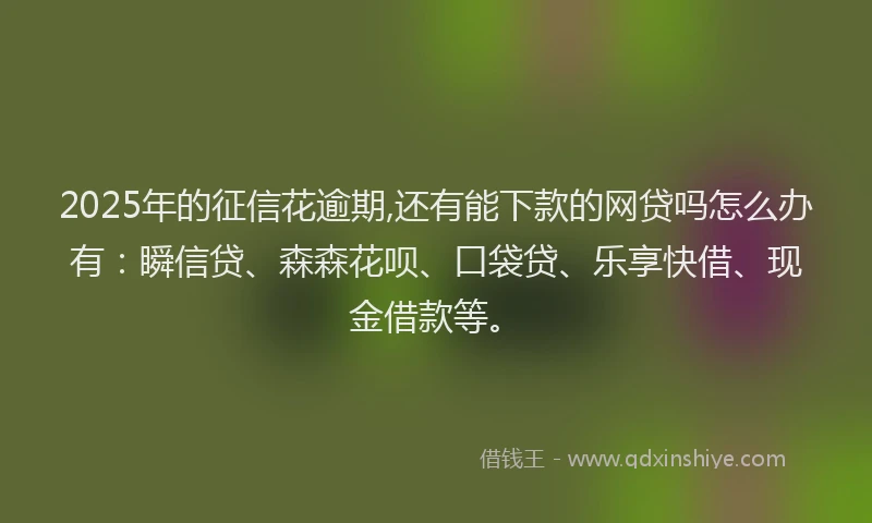 2025年的征信花逾期,还有能下款的网贷吗怎么办有：瞬信贷、森森花呗、口袋贷、乐享快借、现金借款等。