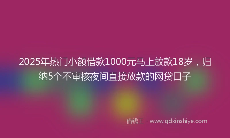 2025年热门小额借款1000元马上放款18岁，归纳5个不审核夜间直接放款的网贷口子