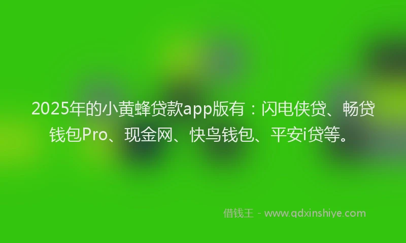 2025年的小黄蜂贷款app版有：闪电侠贷、畅贷钱包Pro、现金网、快鸟钱包、平安i贷等。