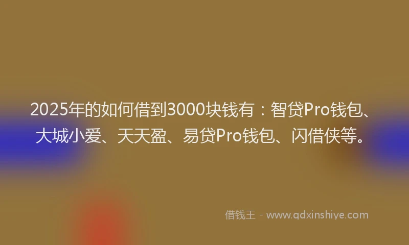 2025年的如何借到3000块钱有：智贷Pro钱包、大城小爱、天天盈、易贷Pro钱包、闪借侠等。